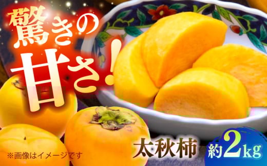 ys\zH` 2kg ` JL t[c ʕ H y{t[cЁz [ZFJ021]F{Rs13000ʕEt[c̑ ʕEt[c