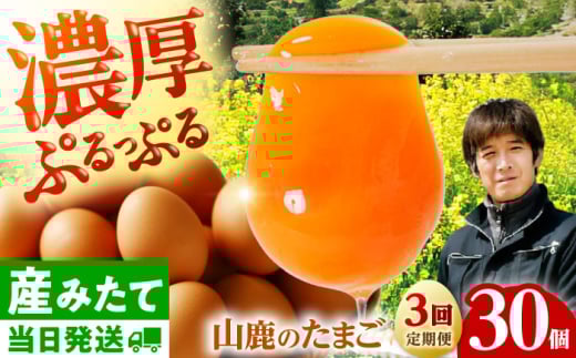 yS3ցz ܂ 30 2kgy}c}GbOt@[z [ZAW006]F{Rs24000Eii{AG{j