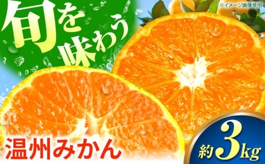 ys\z B݂ 3kg ɑ   Ӑ ݂ yrc_z [ZEX005]F{Rs9000ʕEt[c݂Ek