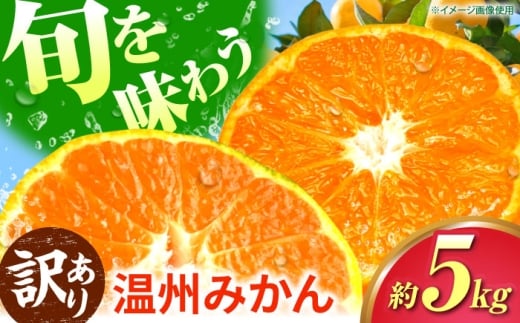 ys\zy󂠂z B݂ 5kg ɑ   Ӑ ݂ yrc_z [ZEX006]F{Rs11000ʕEt[c݂Ek