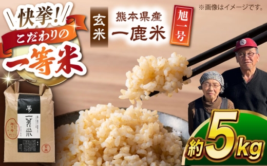 ys\z yVgpzꎭ ꍆ   5kgy AOz [ZCL015]F{Rs23000āEpāEGāEāE