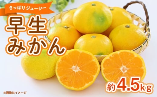 ݂@4.5kg y܂ӂz [ZBG082]F{Rs12000ʕEt[c݂Ek