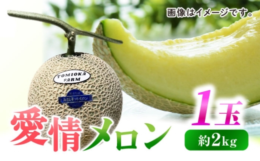 ys\zN   1ʁyƂ݂_z[ZEM007]F{Rs10000ʕEt[cEXCJ