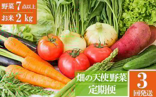 【定期便 3ヶ月】「畑の天使」定期便(年3回)《お米2kg入り》おまかせ 詰め合わせ 旬 野菜セット 新鮮 こだわり 朝採れ 採れたて フレッシュ サラダ 料理 人気 おすすめ 産地直送 熊本県 南関