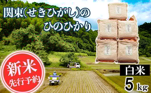 【令和7年産】関東(せきひがし)のひのひかり 白米 5kg 真空 パック 熊本県 南関町産 単一原料米 ヒノヒカリ 産地直送 お米熊本県南関町14000米・パン白米