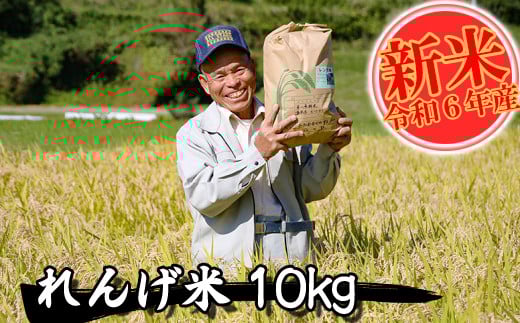 【令和6年産】れんげ米 白米 10s 精米 熊本県 南関町産 単一原料米 ヒノヒカリ 産地直送 コメ お米 レンゲ農法熊本県南関町18000米・パン白米