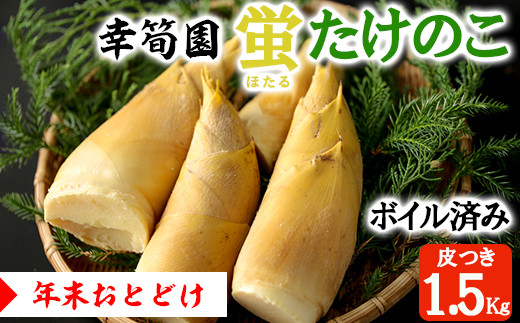 ystzK⡉ u(ق)̂ 1.5kg\ 12͂    @ 䥂ōς {C ʌF{֒30000؁Ê̂