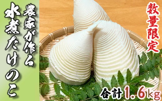 yyɎgzY_ƂIς̂ 1.6kg ߘa7NY Yn Y _   y  ^PmR aHF{֒12000؁Ê̂