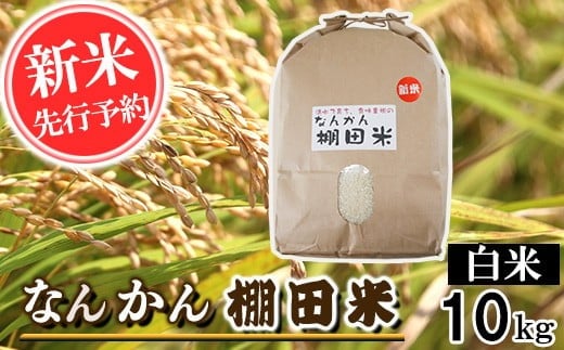 【令和7年産】なんかん棚田米 白米 10kg 精米 熊本県 南関町産 単一原料米 ヒノヒカリ 産地直送 コメ お米 ごはん熊本県南関町28000米・パン白米