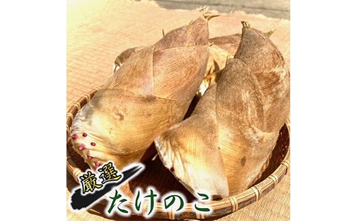 ystz@̂ 2kg\ 4{F{֒15000؁Ê̂