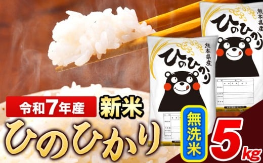 新米 米 令和7年産 ひのひかり 無洗米 5kg 《12月中旬-2月末頃出荷》  5kg×1袋 熊本県産 米 精米 ひの 長洲町熊本県長洲町13000米・パン白米