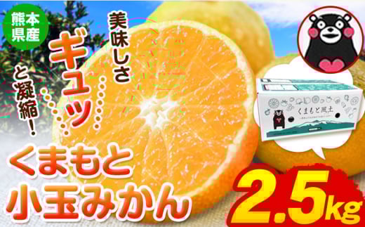 訳あり みかん くまもと小玉みかん 約 2.5kg (2.5kg×1箱)  蜜柑 柑橘 《2025年10月中旬-12月末頃出荷》 ご家庭用 小玉 たっぷり 熊本県産 S-3Sサイズ 期間限定 フルーツ 5000 g 旬 柑橘 長洲町熊本県長