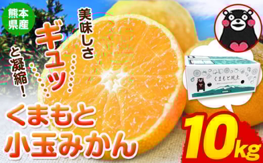 訳あり みかん くまもと小玉みかん 約 10kg (2.5kg×4箱)  蜜柑 柑橘 《2025年10月中旬-12月末頃出荷》 ご家庭用 小玉 たっぷり 熊本県産 S-3Sサイズ 期間限定 フルーツ 10000 g 旬 柑橘 長洲町熊本県長
