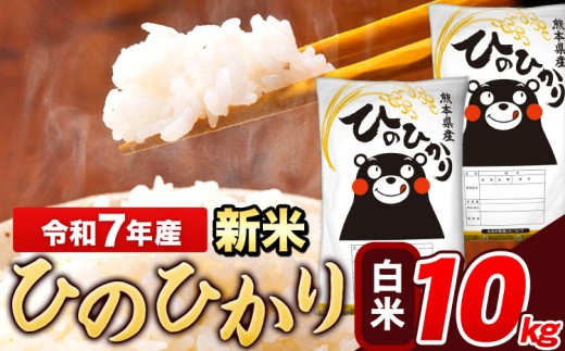 新米 米 令和7年産 ひのひかり 白米 10kg 《12月中旬-2月末頃出荷》 5kg×2袋 熊本県産 米 精米 ひの 長洲町熊本県長洲町25500米・パン白米