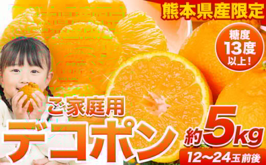 ご家庭用 デコポン デコポン約5kg前後(約12-24玉前後)《2026年2月上旬-4月末頃出荷》不知火 熊本県産 熊本県 長洲町 糖度13度以上熊本県長洲町15000果物・フルーツみかん・柑橘類