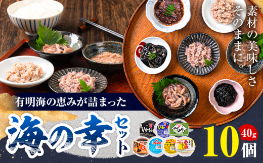 内野海産の海の幸セット 10個入り 《45日以内に出荷予定(土日祝除く)》あみ漬 いか 海苔 佃煮 塩辛 いかすみ熊本県長洲町11000魚介・海産物その他 魚介・海産物