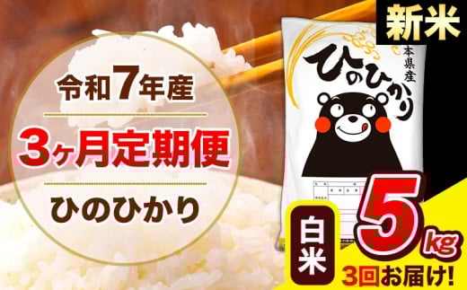 新米 令和7年産 ひのひかり 【3ヶ月定期便】 白米  5kg (5kg×1袋) 計3回お届け 《1月から出荷開始》 熊本県産 白米 精米 ひの 米 こめ お米 熊本県 長洲町熊本県長洲町39000米・パン白米
