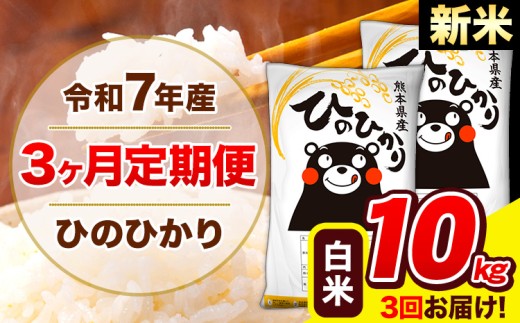 新米 令和7年産 ひのひかり 【3ヶ月定期便】 白米  10kg (5kg×2袋) 計3回お届け 《1月から出荷開始》 熊本県産 白米 精米 ひの 米 こめ お米 熊本県 長洲町熊本県長洲町76500米・パン白米