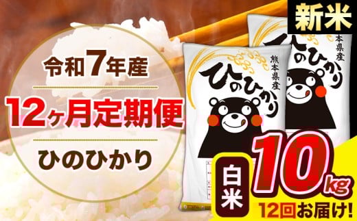 新米 令和7年産 ひのひかり 【12ヶ月定期便】 白米  10kg (5kg×2袋) 計12回お届け 《1月から出荷開始》 熊本県産 白米 精米 ひの 米 こめ お米 熊本県 長洲町熊本県長洲町306000米・パン白米