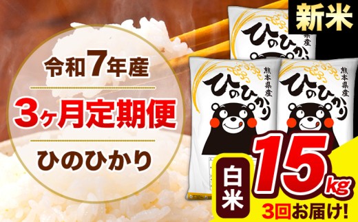 新米 令和7年産 ひのひかり 【3ヶ月定期便】 白米  15kg (5kg×3袋) 計3回お届け 《1月から出荷開始》 熊本県産 白米 精米 ひの 米 こめ お米 熊本県 長洲町熊本県長洲町114000米・パン白米