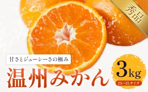 温州みかん 約3kg 日本フルーツ株式会社 熊本県 長洲町 《11月上旬〜12月上頃に出荷予定(土日祝除く)》 デコポン 果物 秀品 フルーツ スイーツ デザート ギフト ご贈答熊本県長洲町8000果物