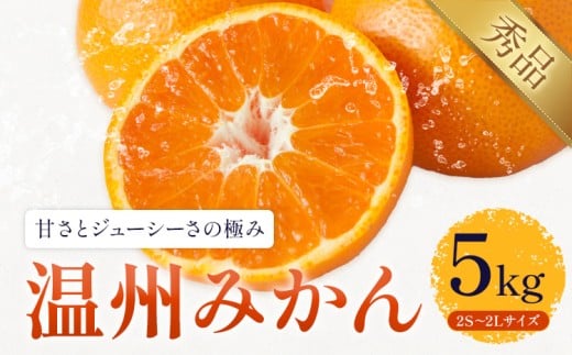 温州みかん 約5kg 日本フルーツ株式会社 熊本県 長洲町 《11月上旬〜12月上頃に出荷予定(土日祝除く)》 デコポン 果物 秀品 フルーツ スイーツ デザート ギフト ご贈答熊本県長洲町10500果
