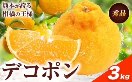 デコポン 約3kg 日本フルーツ株式会社 熊本県 長洲町 《2026年1月下旬-2月末頃出荷予定》 熊本県 長洲町  デコポン 果物 秀品熊本県長洲町17000果物・フルーツみかん・柑橘類