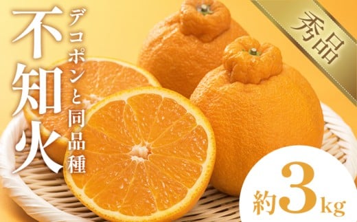 不知火(デコポン同品種) 約3kg 日本フルーツ株式会社 熊本県 長洲町 《2026年1月下旬-2月末頃出荷予定》 デコポン 果物 秀品 フルーツ スイーツ デザート ギフト ご贈答熊本県長洲町10500果