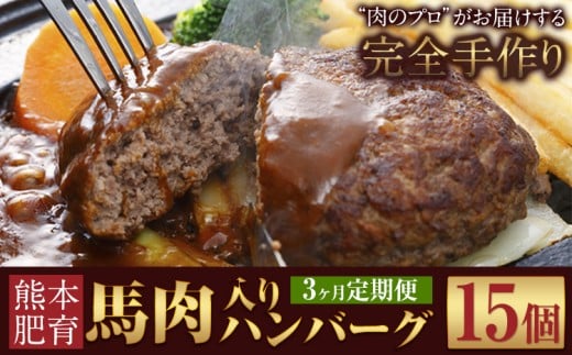 【3ヶ月定期便】ハンバーグ 馬肉入り 手作りハンバーグ 15個 (1個:約150g) 定期便 馬肉ハンバーグ 肉 馬肉 手作り 肉の宮本《申し込みの翌月から出荷(土日祝除く)》惣菜 おかず 肉 牛 豚熊本