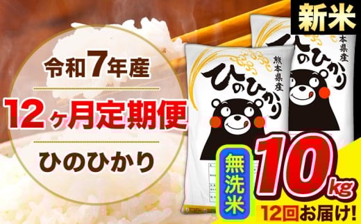 新米 令和7年産 ひのひかり 【12ヶ月定期便】 無洗米  10kg (5kg×2袋) 計12回お届け 《1月から出荷開始》 熊本県産 無洗米 精米 ひの 米 こめ お米 熊本県 長洲町熊本県長洲町306000米・パン白米