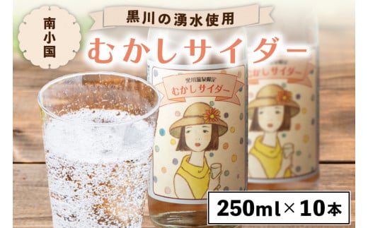 쉷̗Ngp ނTC_[ 10{Zbg 250ml 10{ N 쉷 TC_[ nTC_[ n r g  W[X Zbg Mtg p  㓡X F{ 쏬 F{