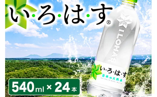 EÉE h̓VR 540mlPET×24{ ͂ 540ml 24{  VR ~lEH[^[ ybg{g P[X RJER[ h F{ 쏬 F{쏬11000EE~l