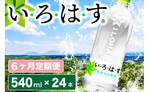 y6ցzEÉE h̓VR 540mlPET×24{iv6P[Xj 6   540ml 24{ ͂  VR 6 ~lEH[^[ ybg{g P[X RJER[ h F{ 