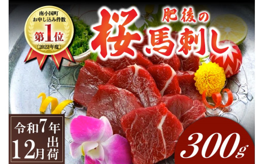 〈令和7年12月出荷〉肥後の桜馬刺し 上赤身 300g熊本県南小国町11000肉ジビエ