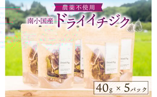 天然の地熱で旨味を凝縮!南小国産ドライイチジク (5袋セット)  40g 5袋 地熱 国産 南小国産 ドライイチジク ドライフルーツ イチジク いちじく オーガニック おやつ 持ち運び ギフト 贈答用
