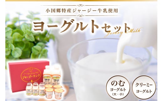 【小国郷特産ジャージー牛乳を使用!】ヨーグルトセット(YS-1) 小国郷特産 ジャージー牛乳 ヨーグルト セット 2種 飲むヨーグルト のむヨーグルト 900ml 150ml クリーミーヨーグルト 110g 詰