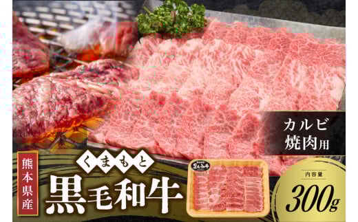 【熊本県産 黒毛和牛】 カルビ 焼肉用 300g くまもと黒毛和牛 熊本県産 黒毛和牛 焼肉 バーベキュー BBQ 和牛 牛 牛肉 国産 さくらや食産 熊本 阿蘇 南小国 南小国町 熊本県南小国町11000肉牛肉