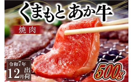 〈令和7年12月出荷〉熊本県産GI認証取得 くまもとあか牛(焼肉用500g)熊本県南小国町11000肉牛肉