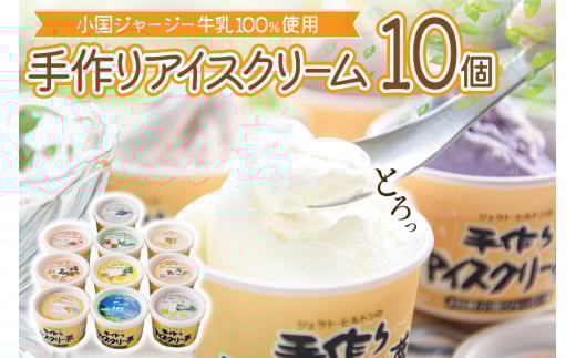 【ヒルトンビック】地元で愛され続けて30年以上!阿蘇小国ジャージー牛乳100%使用 ジェラトヒルトンの手作りアイスクリー夢A(10種×各1個)熊本県小国町14000菓子・スイーツアイス・ジェラ