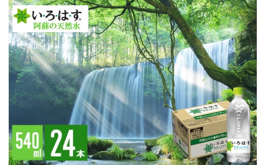 ywт̗zEÉE h̓VR 540ml 24{ 1P[X ͂ ILOHAS i`~lEH[^[ ~lEH[^[ B F{ h VR ~lEH[^[F{