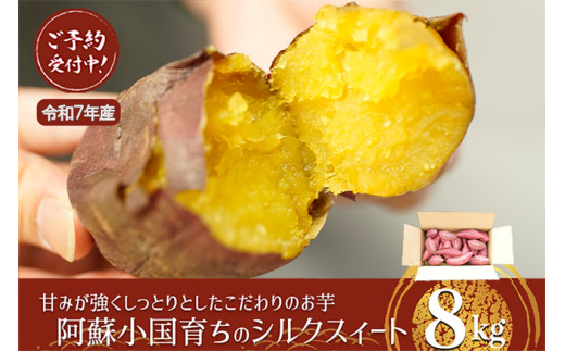 【下巣畑農産】先行予約 熟成 シルクスィート 8kg 令和7年産 令和8年1月出荷 さつま芋 唐芋 長期貯蔵 産地直送 まとめ買い 九州産 熊本産 小国産 地場産 スイーツ 蜜芋 贈答 ご家庭用 焼き芋