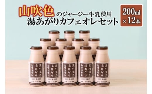 【山のいぶき】湯あがりカフェオレ 200ml 計12本 山吹色のジャージー牛乳 乳脂肪分 5%以上 低温殺菌 素材の味 飲みきり ギフト 贈答 セット 小国ジャージー牛乳 FOODEX JAPAN ご当地牛乳グラン