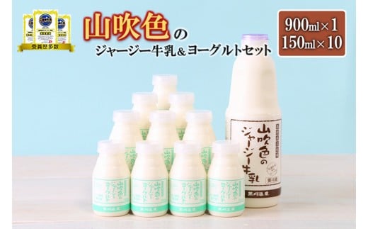 yR̂ԂzRF̃W[W[ [OgZbg 900ml×1 150ml×10 2 v11{ b 5ȏ ቷE fނ̖ lߍ킹  ރ[Og Mtg  Zbg W[W