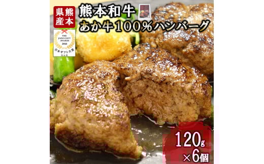 【三協畜産】熊本和牛 あか牛 熊本県産 肥育 加工品 阿蘇 熊本 褐毛和種 褐牛 和牛 あか牛100% 牛肉 ハンバーグ 120g 6個 計720g 惣菜 おかず ご飯のお供 熊本名物 ご家庭用 ギフト 贈答用  小国