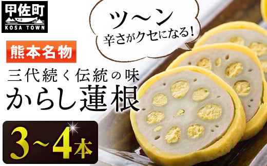 【3代続く伝統の味】ピリッとうまか!熊本からし蓮根(3本〜4本)- からし蓮根 辛子蓮根 熊本名物 冷蔵 惣菜 おつまみ 手作り 人気 熊本県 甲佐町熊本県甲佐町12000鍋セット・総菜・加工食