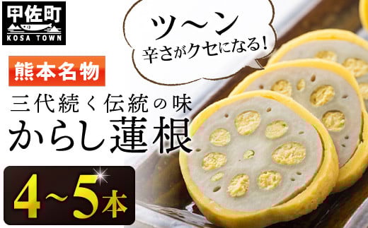【3代続く伝統の味】ピリッとうまか!熊本からし蓮根(4本〜5本)- からし蓮根 辛子蓮根 熊本名物 冷蔵 惣菜 おつまみ 手作り 人気 老舗 伝統 熊本県 甲佐町熊本県甲佐町15000鍋セット・総菜