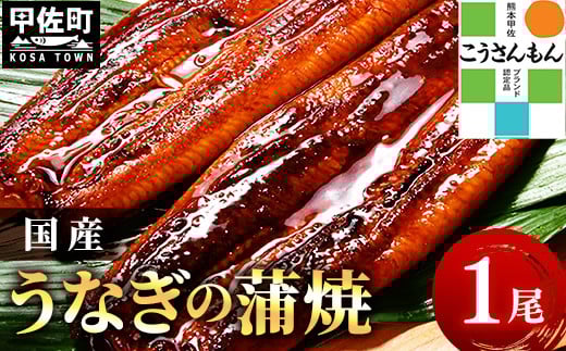 【甲佐ブランド】 うなぎ 蒲焼き 1尾 【こうさんもん認定商品】熊本産 国産 150g以上 - うなぎ 鰻 蒲焼 国産 熊本産 こうさんもん 甲佐ブランド 甲佐町特産 蒲焼き ふっくら 冷凍 熊本県 甲