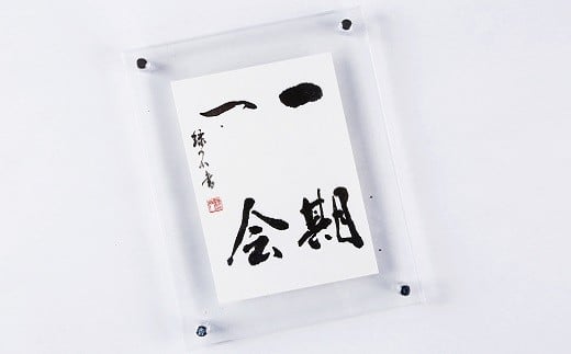 ͂iANz - i NGXg \ I[_[Ch nhCh d zt AN NA CeA j 蕨 Mtg v[g LO LOi z 