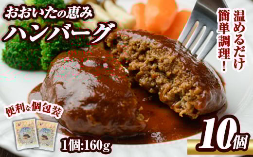 おおいたの恵みハンバーグ(計1.6kg・160g×10個)牛肉 豚肉 肉 デミグラスソース おかず 小分け 個包装 温めるだけ 【opng002】【全国農業協同組合連合会 大分県本部】大分県14000鍋セット・総菜・