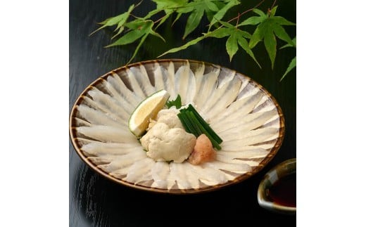 啪Y JnM hg Zbg (280g) ͂ hg  Ⓚ  Y yopbe004zyz啪60000ECY̑ ECY